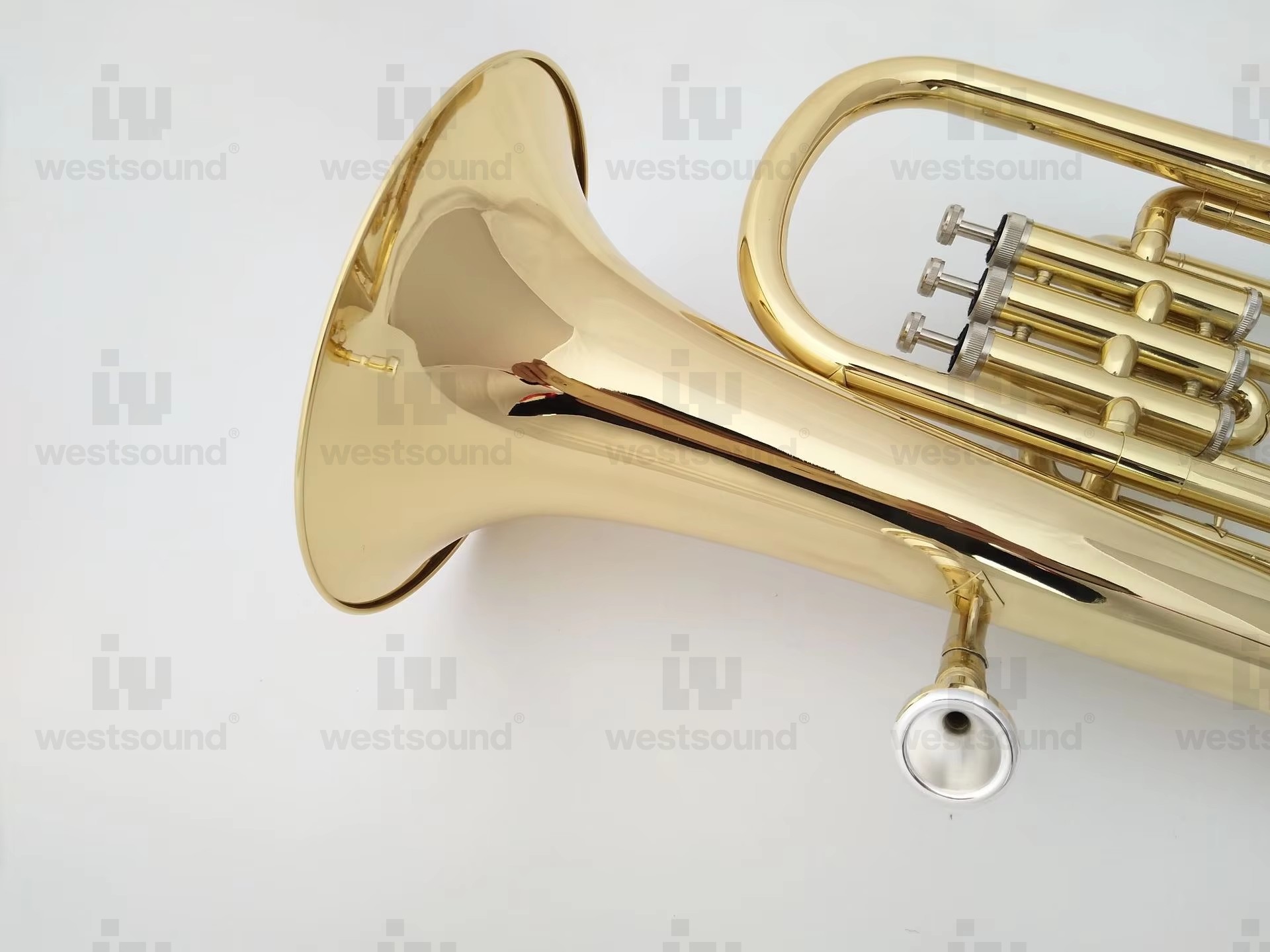 Баритон-евфоно́м в тональности – обзор и цена Musical Instrument Euphonium