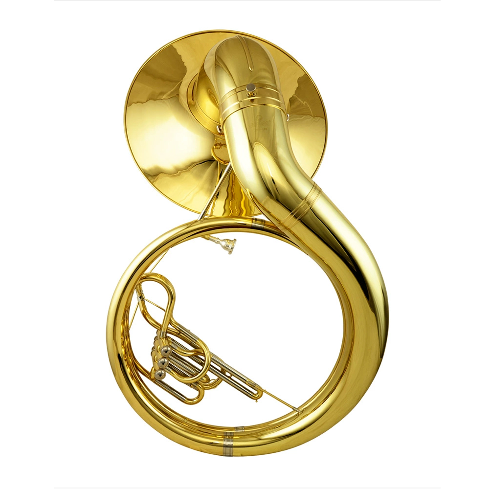 Музыкальный инструмент: латунн – обзор и цена Musical Instrument Euphonium