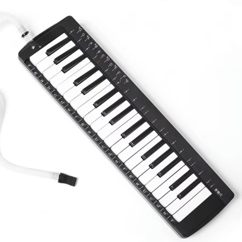 37-клавишный профессиональный  – обзор и цена Musical Instrument Melodica